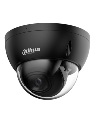 Domo IP H265 4M DN WDR Starlight...