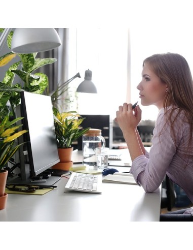 Zyxel GS1005HP No administrado...